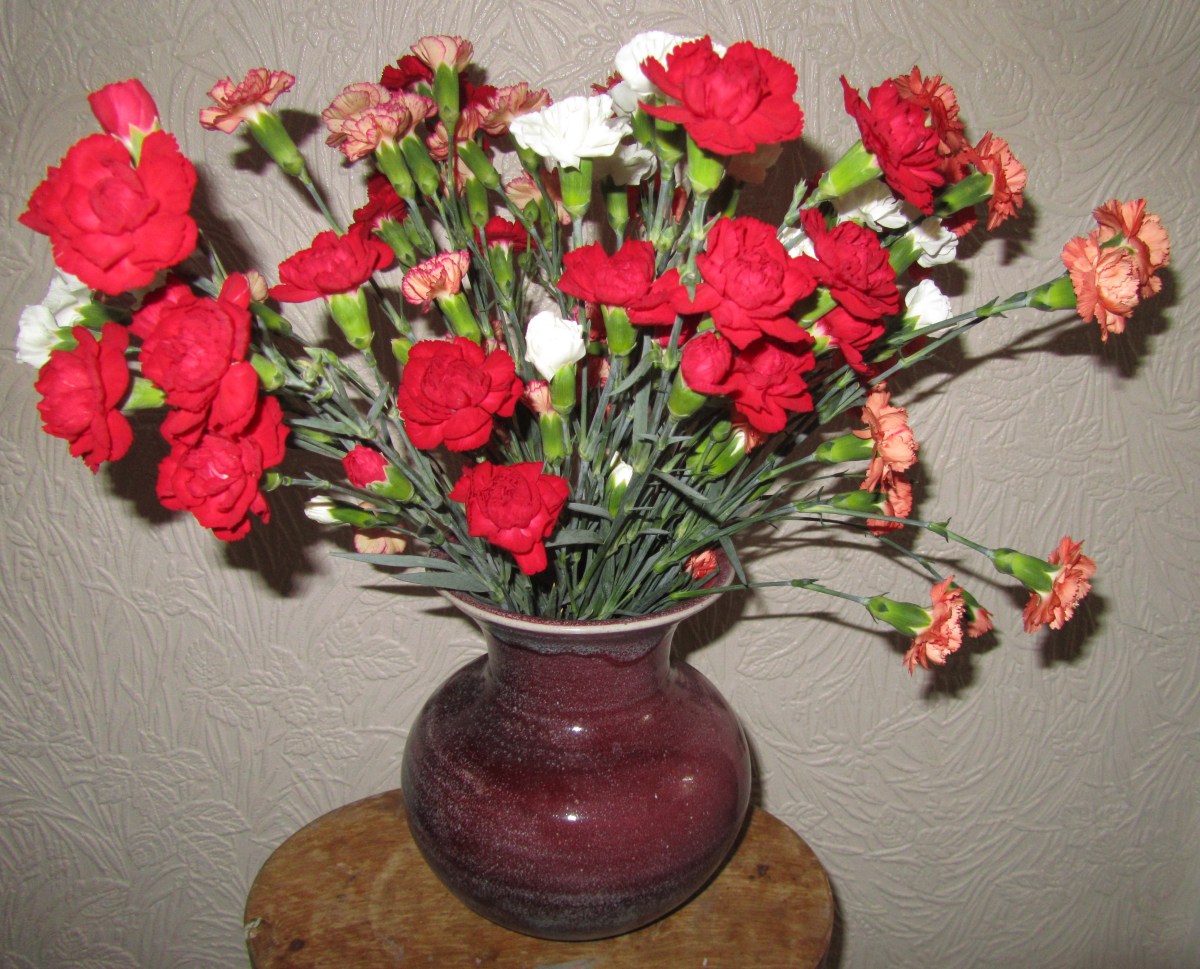 New vase with flowers