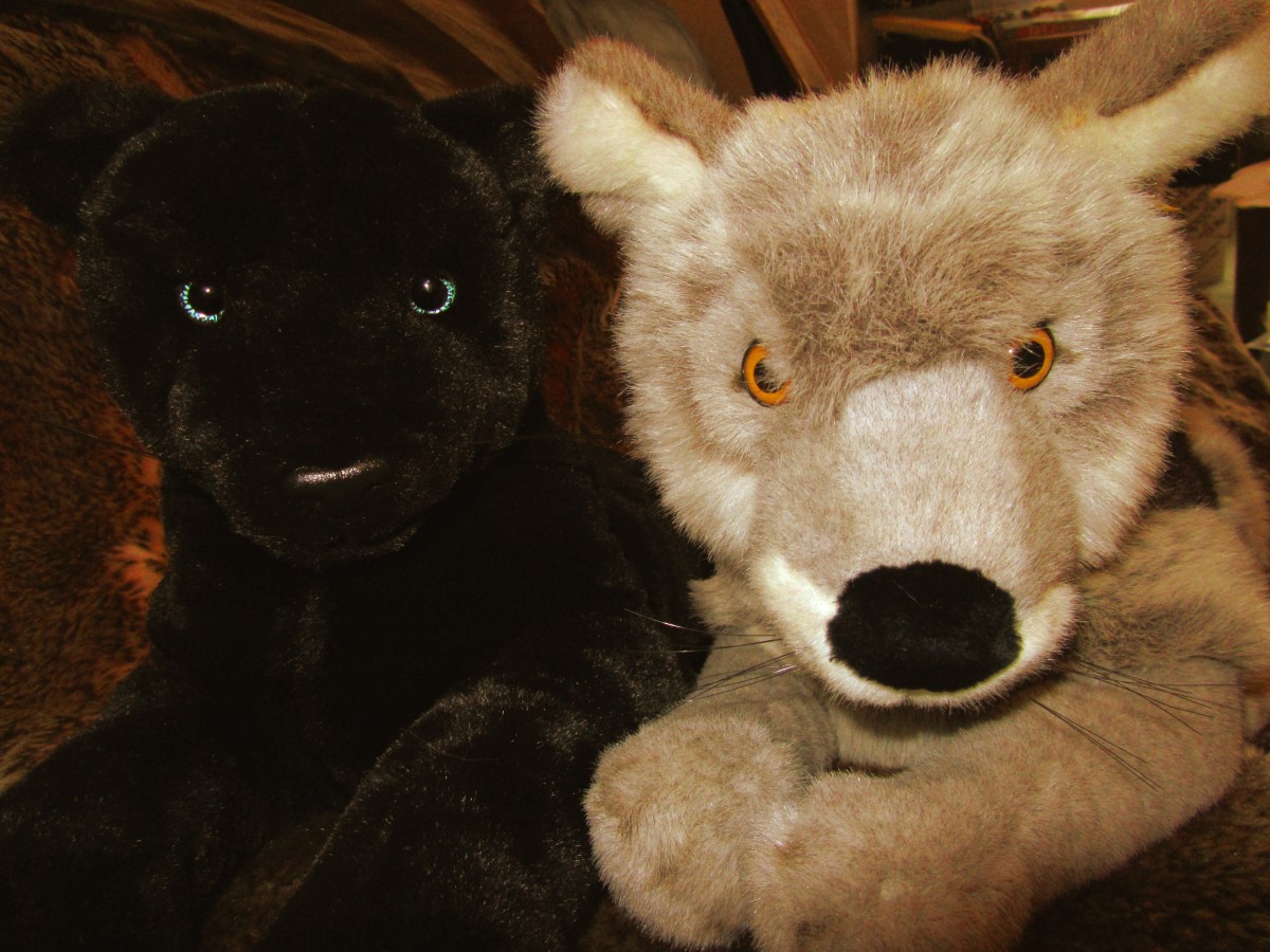 Panther and Wolf