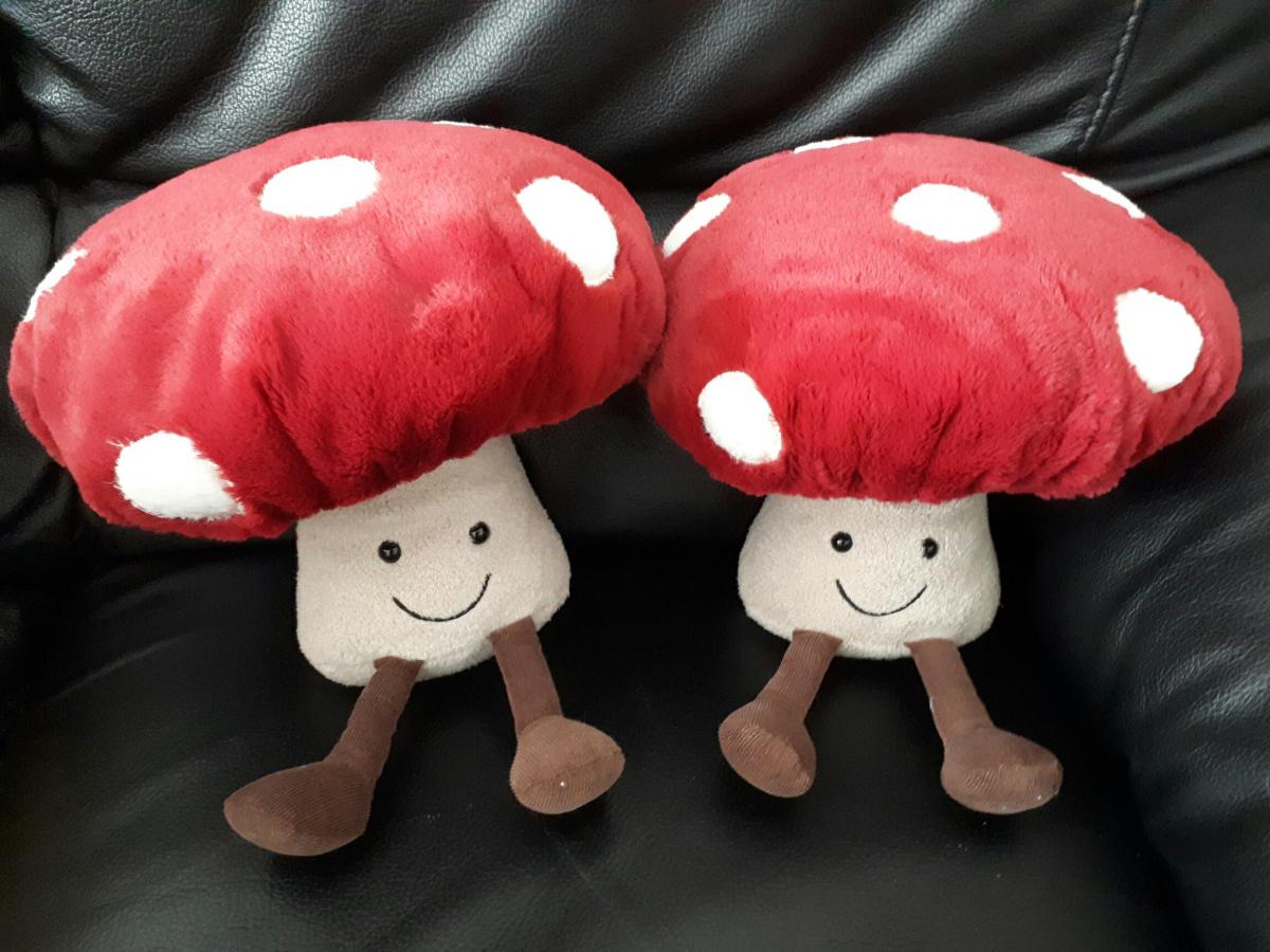 Cuddly mushrooms